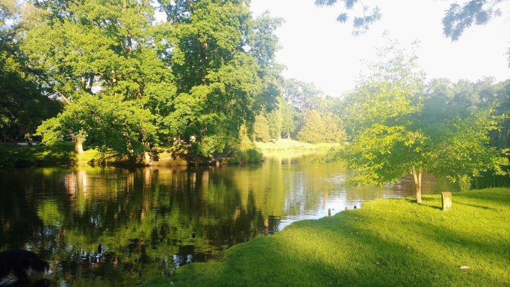 Lübecker Düker, ein Seitenarm der Wakenitz. Kostenlos mit Quellenangabe nutzbar.